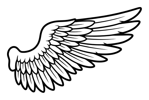 A line-art feathered wing catalog part.